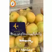 قیمت خرید تامین زردآلو در اصفهان در گروه خرید و فروش زردآلو در یکمیوه