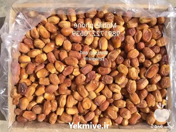 قیمت خرید خرمای زاهدی صادراتی در تهران در گروه خرید و فروش خرما در یکمیوه -عکس1
