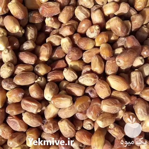 قیمت خرید عمده خرمای زاهدی در تهران در گروه خرید و فروش خرما در یکمیوه -عکس1