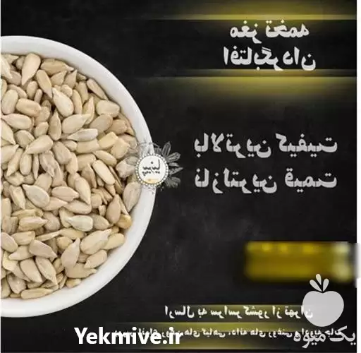 قیمت خرید مغز آفتابگردان ریز در گروه خرید و فروش انواع تخمه در یکمیوه -عکس1