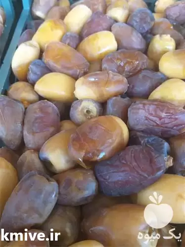 فروش عمده رطب کبکاب درجه یک در تهران در گروه خرید و فروش خرما در یکمیوه -عکس1