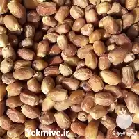 قیمت خرید عمده خرمای زاهدی در تهران