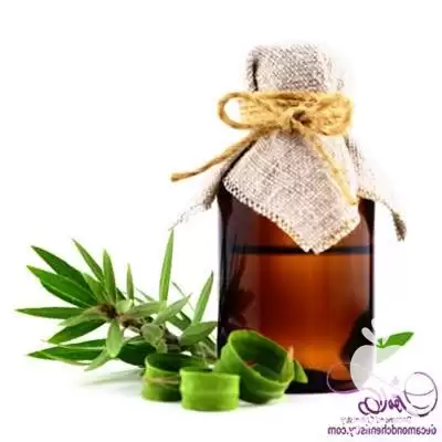 فروش ویژه روغن درخت چای در تهران در گروه خرید و فروش انواع روغن در یکمیوه -عکس1