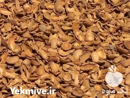 فروش پوست بادام و گردو در گروه خرید و فروش بادام در یکمیوه -عکس1