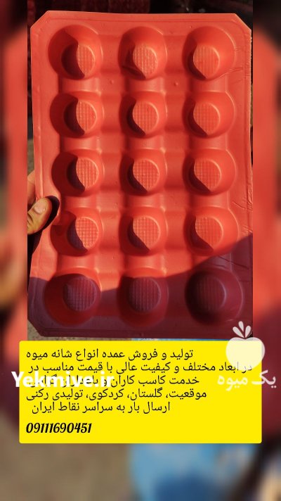 شانه میوه وکیوم در کردکوی در گروه خرید و فروش انواع سبد در یکمیوه -عکس2