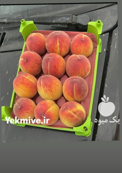 شانه میوه وکیوم در کردکوی در گروه خرید و فروش انواع سبد در یکمیوه -عکس1