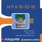 قیمت خرید فروش کود فسفر بالاnpk 105210 در یزد در گروه خرید و فروش انواع کود کشاورزی در یکمیوه