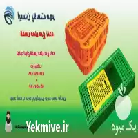 قیمت خرید انواع قفس حمل مرغ در گروه تجهیزات مرغداری در یکمیوه