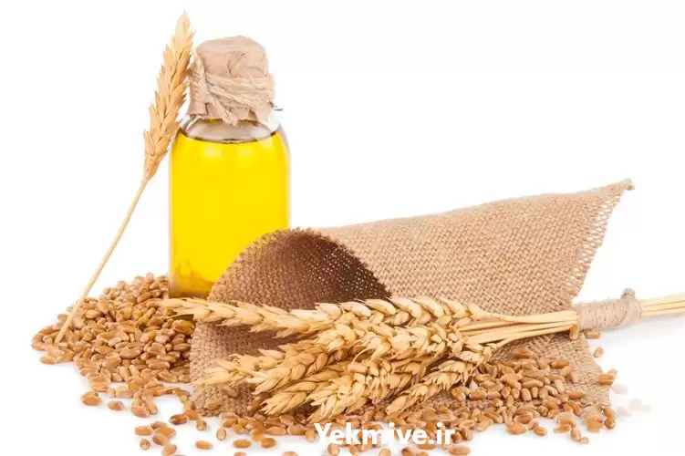 قیمت خرید ویژه روغن جوانه گندم در اردبیل در گروه خرید و فروش انواع روغن در یکمیوه -عکس1