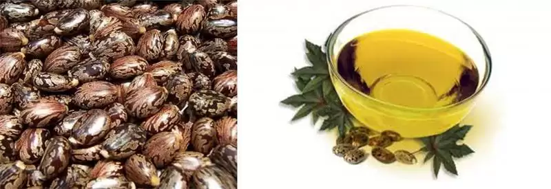 قیمت خرید عمده روغن کرچک پخش در گروه خرید و فروش انواع روغن در یکمیوه -عکس1