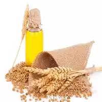 قیمت خرید ویژه روغن جوانه گندم در اردبیل در گروه خرید و فروش انواع روغن در یکمیوه