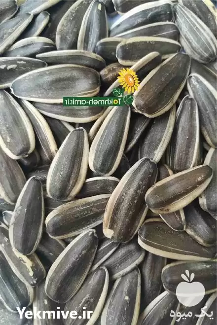 فروش تخمه کدو در شوش در گروه خرید و فروش انواع تخمه در یکمیوه -عکس1