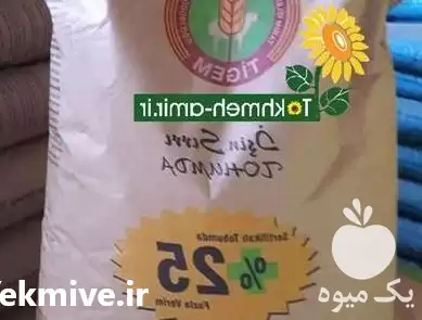 قیمت خرید گندم هیبرید در گروه خرید و فروش گندم و جو در یکمیوه -عکس1