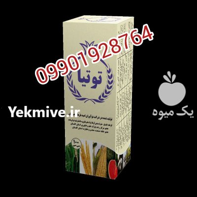 فروش محصولات توتیا در تنکابن در گروه خرید و فروش گیاهان زینتی در یکمیوه -عکس1