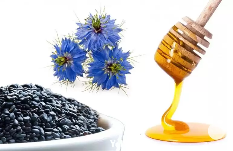 فروش انواع روغن گیاهی دارویی در شیراز در گروه خرید و فروش انواع روغن در یکمیوه -عکس1