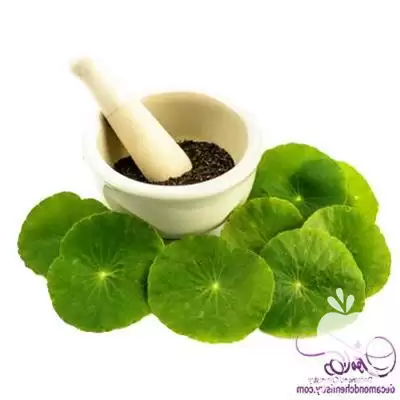 نمایندگی فروش روغن براهمی در تهران در گروه خرید و فروش انواع روغن در یکمیوه -عکس1