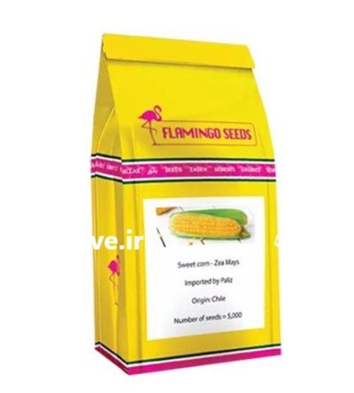 بذر هیبرید وارداتی ذرت شیرین بذر در بیرجند در گروه خرید و فروش بذر ذرت در یکمیوه -عکس1