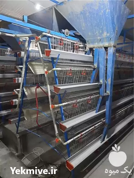 فروش قفس مرغ تخمگذار در قزوین در گروه تجهیزات مرغداری در یکمیوه -عکس1