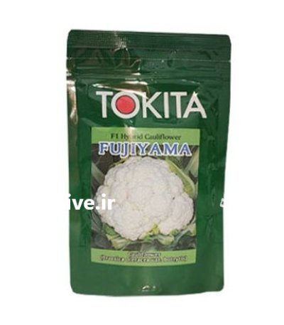 فروش بذر گل کلم FUJIYAMA توکیتا در بیرجند در گروه خرید و فروش بذر صیفی جات در یکمیوه -عکس1