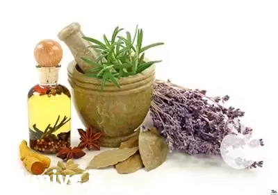 فروش روغن گیاهی چهل گیاه در گروه خرید و فروش انواع روغن در یکمیوه -عکس1