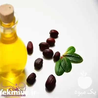 فروش عمده روغن جوجوبا در تهران در گروه خرید و فروش انواع روغن در یکمیوه -عکس1
