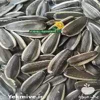 فروش تخمه کدو در شوش در گروه خرید و فروش انواع تخمه در یکمیوه