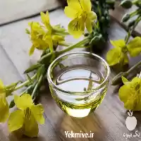 قیمت خرید روغن گل مغربی در گروه خرید و فروش انواع روغن در یکمیوه