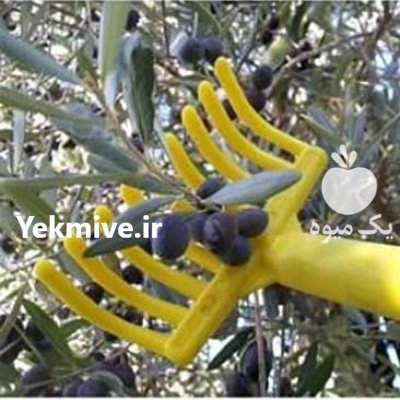 میوه چین و شنکش پلاستیکی ارزان در یزد در گروه خرید و فروش ابزار ها و تجهیزات کشاورزی در یکمیوه -عکس1