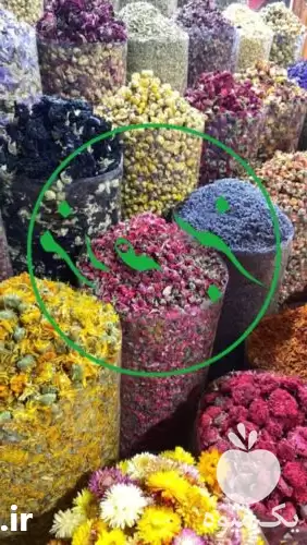 فروش عمده گیاهان دارویی با ضمانت در قم در گروه خرید و فروش گیاهان دارویی در یکمیوه -عکس1