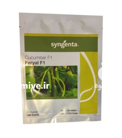 بذر خیار گلخانه ای فریال سینجنتا در بیرجند در گروه خرید و فروش بذر خیار در یکمیوه -عکس1