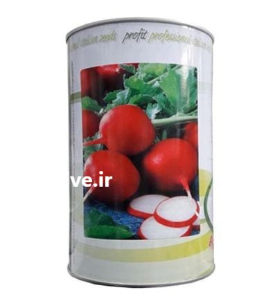 بذر تربچه پروفیت سیدز بذر تربچه در بجنورد در گروه خرید و فروش بذر سبزی در یکمیوه -عکس1