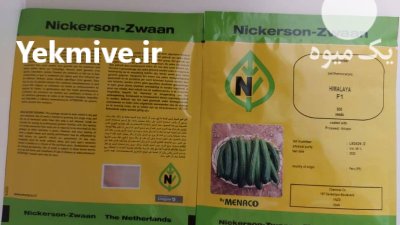 فروش بذر خیار هیمالیا بذر خیار در بجنورد در گروه خرید و فروش بذر خیار در یکمیوه -عکس2
