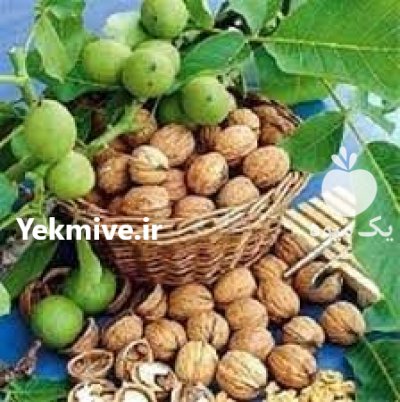 دستگاه آسیاب پوست گردو در آق قلا در گروه خرید و فروش دستگاه آسیاب در یکمیوه -عکس1