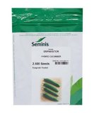 بذر خیار امپراطور Seminis بذر خیار در گروه خرید و فروش بذر خیار در یکمیوه