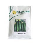 بذر خیار زودرس افیسر بذر خیار در بیرجند در گروه خرید و فروش بذر خیار در یکمیوه