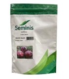 بذر پیاز قرمز 7030 سمینیس امریکا در بجنورد در گروه خرید و فروش بذر پیاز در یکمیوه