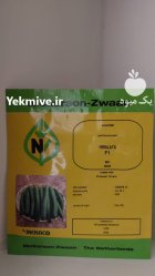 فروش بذر خیار هیمالیا بذر خیار در بجنورد در گروه خرید و فروش بذر خیار در یکمیوه