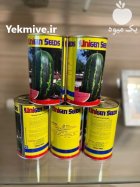 بذر هندوانه پرفروش فروش بذر هندوانه در بجنورد در گروه خرید و فروش بذر هندوانه در یکمیوه