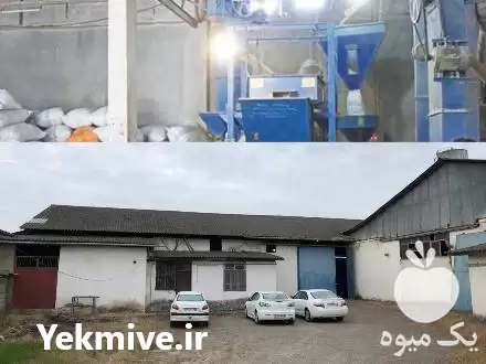 مستقیم انواع برنج ایرانی از کارخانه در آمل در گروه خرید و فروش برنج در یکمیوه -عکس1