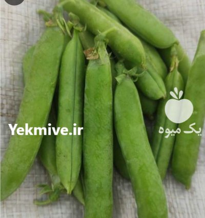 نخود فرنگی هلندی در کلاله در گروه خرید و فروش نخود در یکمیوه -عکس1