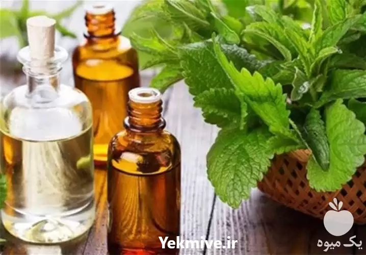 فروش تامین پخش روغن های کاملا در گروه خرید و فروش انواع روغن در یکمیوه -عکس1
