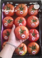 فروش گوجه گلخانه در یزد در گروه خرید و فروش گوجه فرنگی در یکمیوه