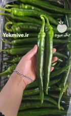 فلفل شمشیری گلخانه در یزد در گروه خرید و فروش فلفل در یکمیوه