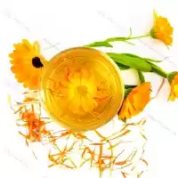 فروش ویژه روغن کالاندولا در شیراز در گروه خرید و فروش انواع روغن در یکمیوه