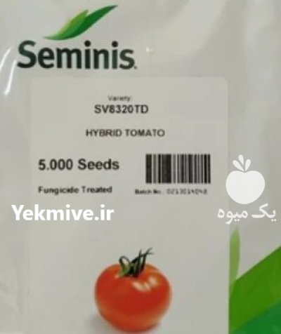 بذر گوجه فرنگی 8320 سمینیس در گروه خرید و فروش بذر گوجه در یکمیوه -عکس1