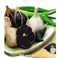 قیمت خرید نمایندگی سیر سیاه اصل در همدان در گروه خرید و فروش سیر در یکمیوه