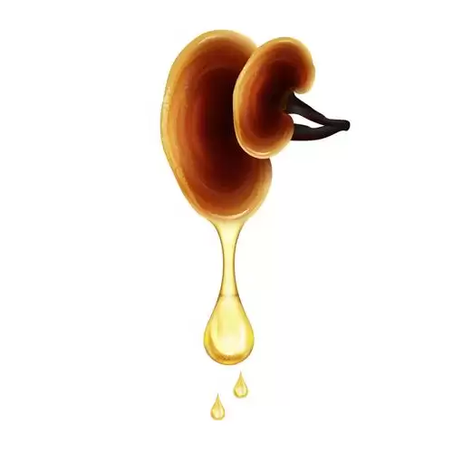 قیمت خرید پخش عمده روغن گانودرما در اصفهان در گروه خرید و فروش انواع روغن در یکمیوه -عکس1