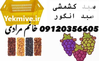 فروش سبد کیلویی انگور سبد کشمشی در میانه در گروه خرید و فروش انواع سبد در یکمیوه -عکس1