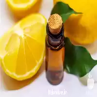 قیمت خرید واردات خالص ترین روغن در گروه خرید و فروش انواع روغن در یکمیوه
