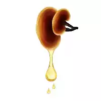 قیمت خرید پخش عمده روغن گانودرما در اصفهان در گروه خرید و فروش انواع روغن در یکمیوه